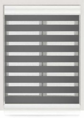 Estor Enrollable Doble Capa Noche y Día - Estor para Oficina, Salón, Dormitorio - Persiana Enrollable Interior Translúcida y Oscurecido para Ventanas 90x200CM (GrisOscuro)