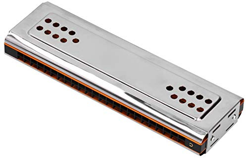 Armonica a doppio lato con 24 fori C&G, armonica a tremolo con scatola di strumenti musicali per principianti armonica