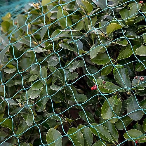 PanHuiWen HüHnernetz Vogelschutznetz Habicht GemüSeschutznetze Vogelnetz Balkon 1.5 x1.5cm große Netz für Rausfallschutz Schutznetz für Katze,10x15m