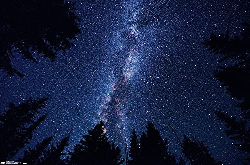 Trends International Milky Way At Night Wall Poster, 22.375 x 34, Unframed Version