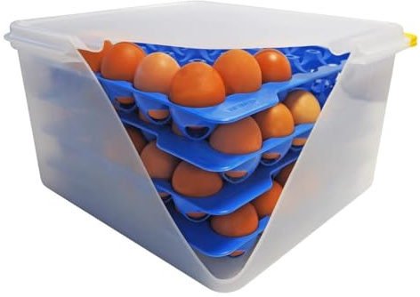 Araven Airtight Container Polypropylene - with 4 Egg Trays GN 2/3 200mm