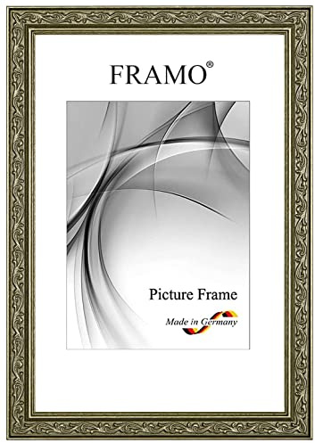 FRAMO Marco de fotos barroco 46 x 61 cm de madera maciza | plata antigua | color y tamaño a elegir | marco retro vintage antiguo N°093