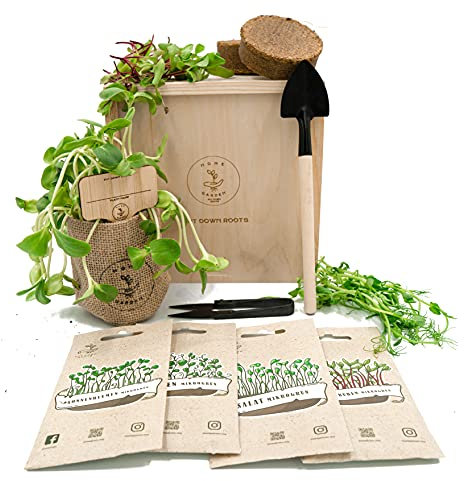 PUT DOWN ROOTS MIKROGRÜN ANZUCHTSET 4 Pflanzen Samen-Garten Starter-Set öko Saatgut mit Holzkiste mit Deckel, Mini gewächshaus, kinderküche zubehör Kinder Anzuchtset