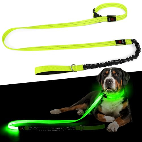 Light Up Dog Collar & Leash Set - Flashing Leash for Medium Dogs, Glow-in-the-Dark Collars with Elastic Cord 5-6FT
