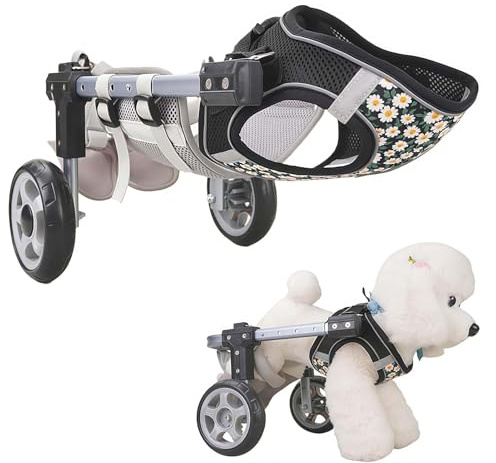 Sedia a rotelle regolabile per cani, per la mobilità, rimorchio leggero per bicicletta, facile da montare, supporta passeggiate ed esercizi per animali domestici disabili