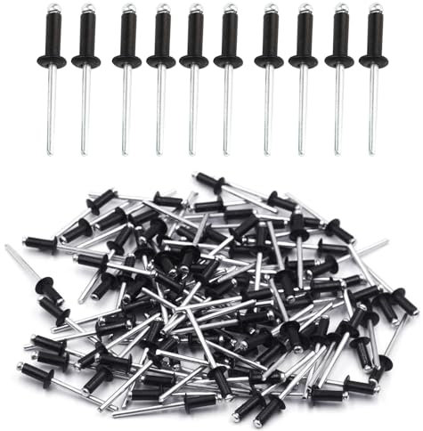 Biglumi 100 Piezas Remaches de Aluminio, Remaches de Aluminio con Cabeza Ancha, 4 x 10 mm, Remaches Ciegos Remaches Pop Caja Remaches Aluminio
