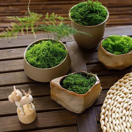 DawlQawwi Muschio decorativo, fiori artificiali, muschio artificiale, 250 g, muschio artificiale, decorazione estetica, decorazione pasquale per parete, presepe acquario, modellismo