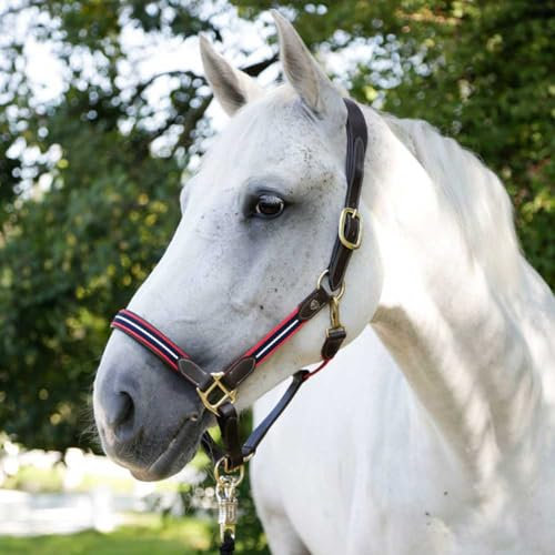Brama West Pferde Halfter Bellano Covalliero - Leder Halfter in Allen Größen - rot/Navy - Gr. Cob