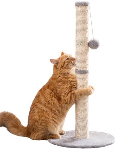 Cat Scratching Post for Indoor Cats, Grey, 64 cm, with Dangling Toy Ball