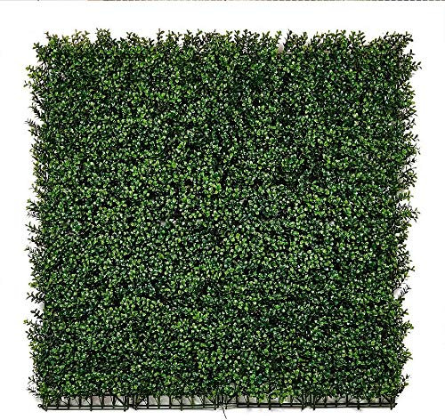 Catral Nortene | Jardín Vertical Boj 100 X 100 Cm Nortene | Protección UV | Ideal para Exterior E Interior | Diseño Moderno