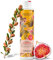 Jean & Len Shampoo Colorglanz Arganöl & Feige, für coloriertes & strapaziertes Haar, verleiht Farbintensität und Glanz, ohne Parabene und Silikone, vegan, 300 ml