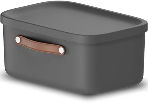 Rotho Caja de almacenaje con tapa y asa, 12 L, Antracita