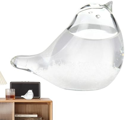 Verre tempête en verre pour prévisions rologiques, baromètre de bureau, globe rologique, figurine d'oiseau, décoration de table créative pour la maison, le bureau, cadeau, prévisions m