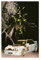 VesFy Travis Scott Cactus Jack Jackboys Poster sur toile Décoration murale pour salon, chambre à coucher, style sans cadre, 20 x 30 cm