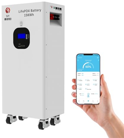 SaiJiaoYang 16kWh 48V 314Ah LiFePO4, 51.2V Lithium Batterie 3000~10000 Cycles avec 200A BMS Puissance Max 10,240W Batterie pour Stockage de l'énergie Domestique, VR, Solaire, Off-Grid systèmes