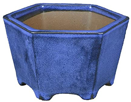 Maceta bonsai hexagonal de gres esmaltado azul 12x12x7,5 cm - YP45