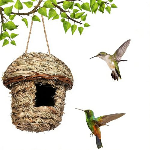 Fågelbo, gräs svalbo, fågelhus, fågelbo för fåglar utomhus väderbeständig, för undulat mese, kanariefågel, koltrast, hummingfågel, rödhake (A)