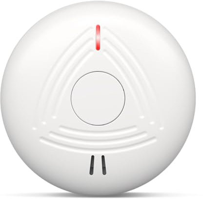 DAYTECH Detecteur de Fumée avec 10 Ans Pile– Installation Facile Alarme Incendie détecteur fumée sans Percage avec Support Magnétique, Idéal pour Maison, Appartement et Location (Lot de 1, Blanc)
