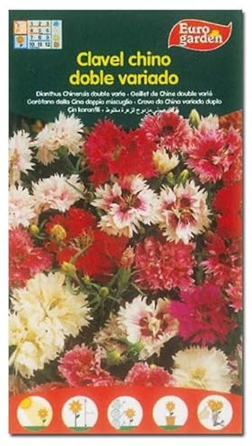 Semillas fito flores clavel chino doble variado 00542 (caja 10 unidades)
