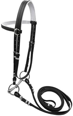 Sharplace Bride de Cheval avec rêne, têtière, équipement équestre, Harnais, Licol, Corde d'équitation pour Sentier, L Black