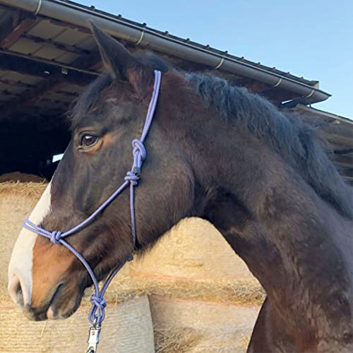 Knot Halter for Floor Work Horse - Knot Halter Cob Ideal for Outdoor Work, Ground Work, Lead or Loading Training (Pony, Royal Blue-White)