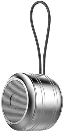 Rawrr Enceinte Bluetooth, Portable, pour l'extérieur, Fonction Mains Libres, énorme avec Pilotes de Basses, pour la Maison, l'extérieur, Le Jardin, Argent