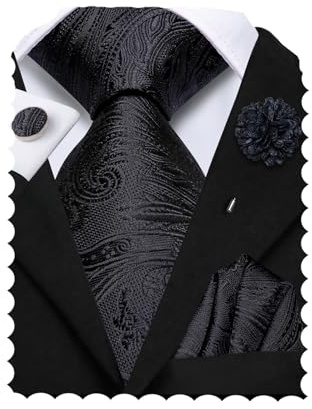 Hi-Tie Black Ties for Men Silk Mens Tie Paisley Necktie Pocket Square Cufflinks Flower Lapel Pin Set for Business Funeral