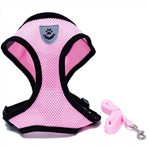 Locisne Tessuto di maglia del cane cablaggio della maglia morbida regolabile confortevole | Pet Petto Piombo Walking guinzaglio con clip (Rosa, Piccolo)
