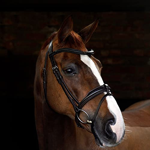 Harry Hall Cottage Craft Flash Bridle Brown | Anatomical Horse Bridles | Flash Noseband For Full | Leather Tack