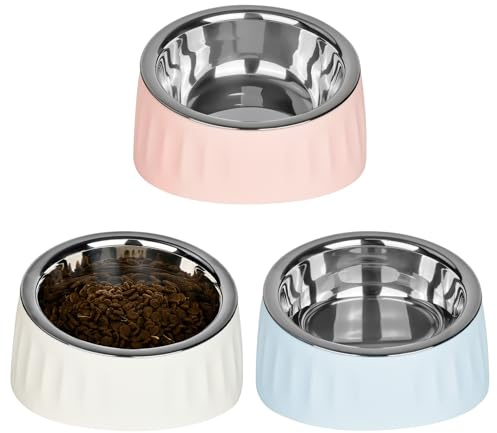 YYTECH 3 Stück Katzennapf Edelstahl, 15° Schräg Futternapf Katze Set, Erhöhter Fressnapf Katze Hundenapf, Fressnapf Für Katze Hunde, Wasser Fütterung Schüssel Abnehmbarer Katzennäpfe für Wasser Snack