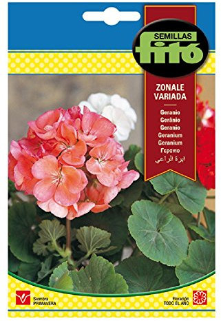 Semillas Fitó 619 - Semillas de Geranio Zonale Variado