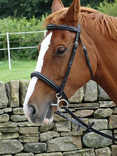 Turners Stunning Black Leather Snaffle Cavesson Horse Riding Bridle with Reins (Pony)