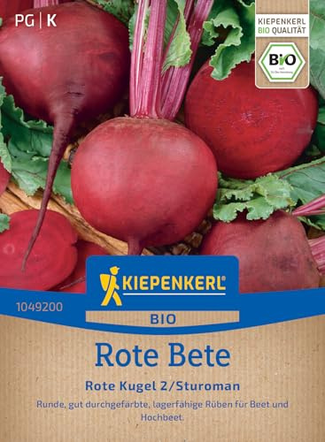 Kiepenkerl Rote Betesamen Rote Kugel 2/Sturoman 1049200 - BIO Rote Bete Samen für Beet & Hochbeet, gleichmäßig runde dunkelrote Rüben, lagerfähig, Gemüsesamen Rübensamen