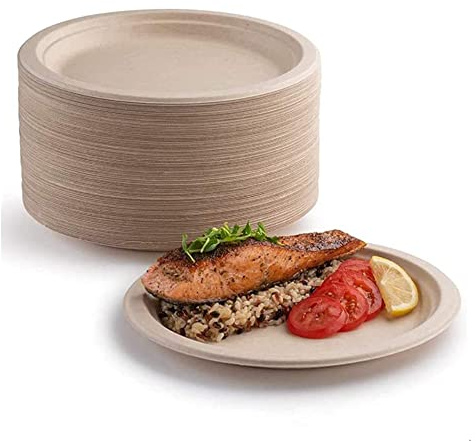 Lot de 50 assiettes en carton super rigides 100 % biodégradables et compostables, respectueuses de l'environnement, très résistantes, recyclables, parfaites pour les pique-niques et les (25,4 cm)