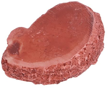 Happyyami 1stück Imitation Bark Reptilien Futter Und Wasserschale Aus Harz Dunkelrot Für Echsen Spinnen Und Andere Kleine Tiere Sicher Und rutschfest Für Terrarien Und Aquarien