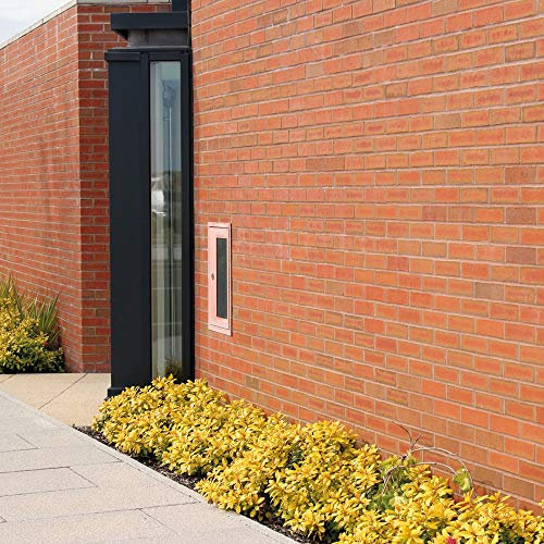 Thompson & Morgan Hedging Golden Privet Hardy Garden Plants, Easy to Grow, Evergreen for Year Round Colour & Screening, 10x Golden Privet Hedging Bare Root Plants (10)