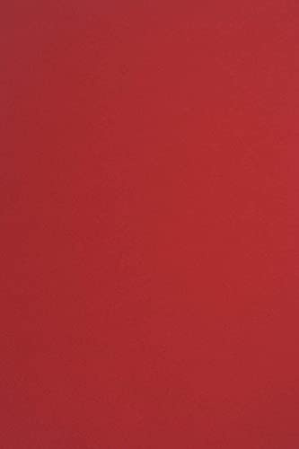 Netuno 10x Tonkartong Röd DIN A4 21 x 29,7 cm 170g Sirio Color Lampone Finkartong färgad Pysselkartong tryckt Tonpapper Kreativ kartong Skola pyssel trycka Dekoration Kort Jul