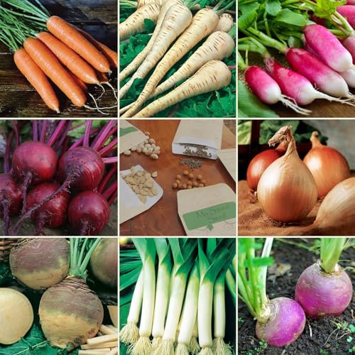 Root Vegetable Seeds Multi-Pack - 8 Different Varieties Root Vegetables Seed Kit for Winter Growing