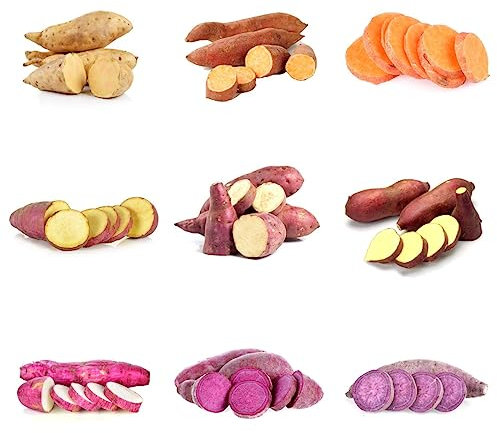 300 Pcs Süßkartoffel Samen Bio, Süßkartoffeln, Dioscorea Esculenta, Gemüse Samen Nachhaltige Geschenke, Ipomoea Batatas, Gemüsesamen Pflanztopf Zimmerbonsai Bonsai Pflanzendeko Anzuchtset