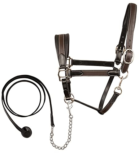 Exion Leather Soft Padded Havana Halter and Leather Lead with Chain Combo | Adjustable Padded Leather Halter with Snap | Padded Crownpiece | Black/Havana Brown Leather | Horse/Cob/Warmblood/Pony