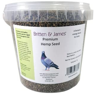 Premium Hemp Seed for Birds by Britten and James (1.4kg)