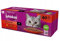 Whiskas Katzenfutter Nassfutter Adult 1+ Klassische Auswahl in Soße 40x85g Mega Pack