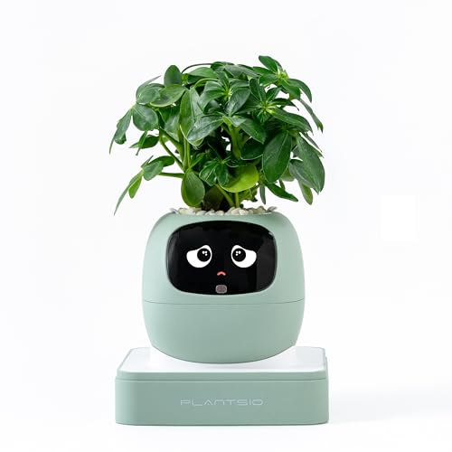 PLANTSIO Smart pet Planter Robot Guidance on Plant Care with Emojis, Adorable Plant Companion with Rich Gesture Interaction, Neat Desk Setup Gift (Olive)