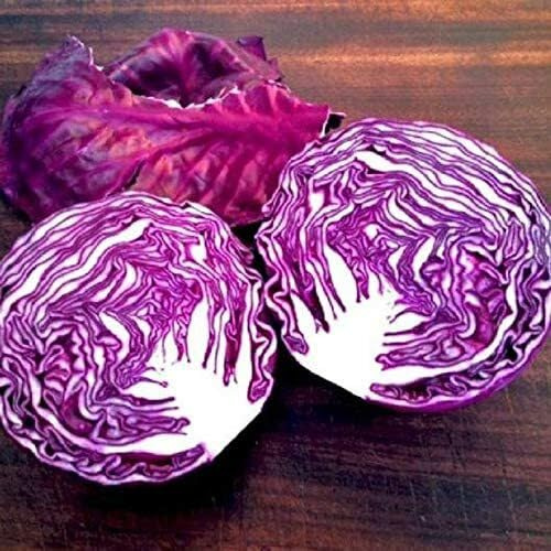 Semi di lattuga viola 30 pezzi
