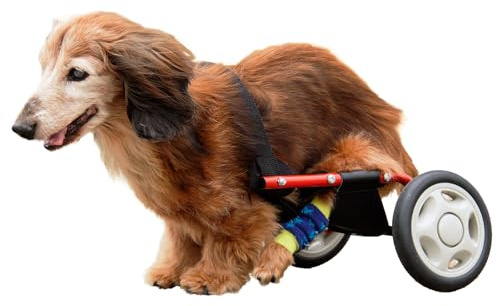 パレットライフ PaletteLife Adjustable Dog Wheelchair (for Miniature Dachshund), hind Legs Rehabilitation, Light Weight Pet Supplies, Dog Cart, Wheels