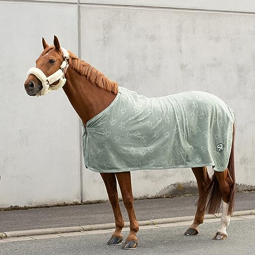 SUNRIDE Coperta refrigerante Wellington per cavalli in morbida pile anti-pilling - asciugatura rapida e leggera (125 cm, olive)