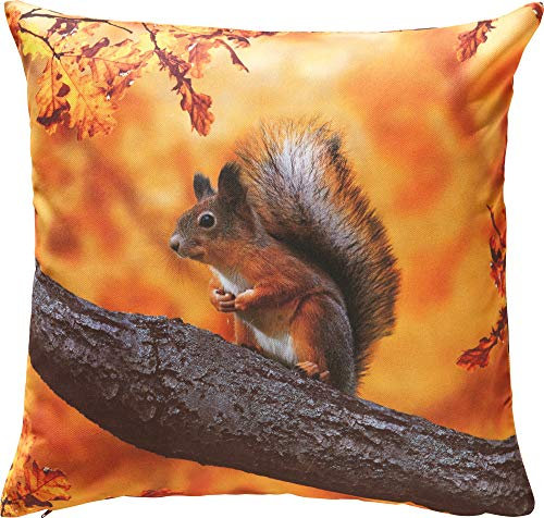 Erwin Müller Kissenhülle Eichhörnchen Eichhörnchen Größe 50x50 cm