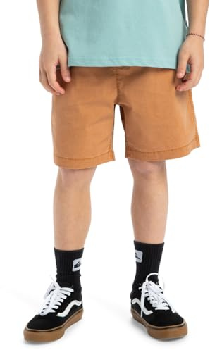 Quiksilver, Taxer Pantalones Cortos, Niño, 8 años, BRAN