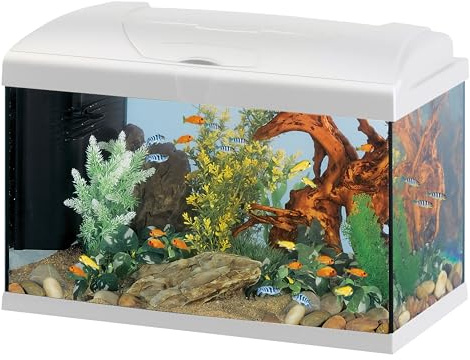 Hydor Aquarium 60L pour Poissons Tropicaux ou d'eau Douce, Aquarium Complet: Lampe LED, Filtre à 3 étapes Eau Cristalline, Chauffage, 60 x 31,5 x h 39,5 cm Blanc