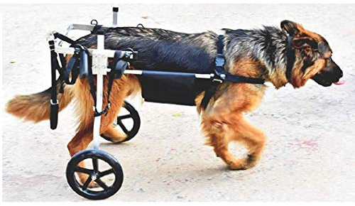 Justerbara hjul hund rullstol, handikappade husdjur förlamar hundar hjälper till att gå, Hindben Rehabilitaion 4 storlekar att välja mellan, för medelstora stora hundar 15 – 59 kg